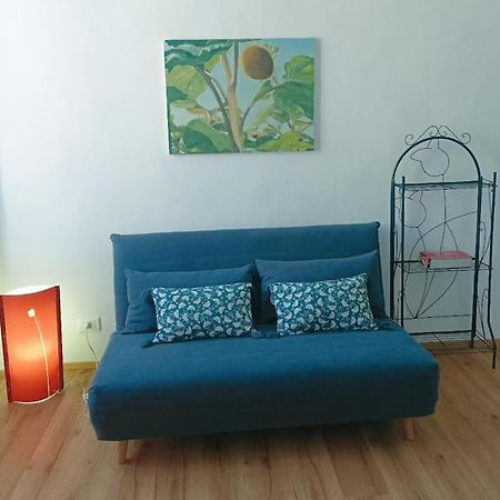 Pane E Tulipani, Cozy Apartment Near City Center Torino Exterior foto