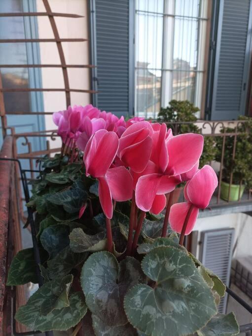 Pane E Tulipani, Cozy Apartment Near City Center Torino Exterior foto